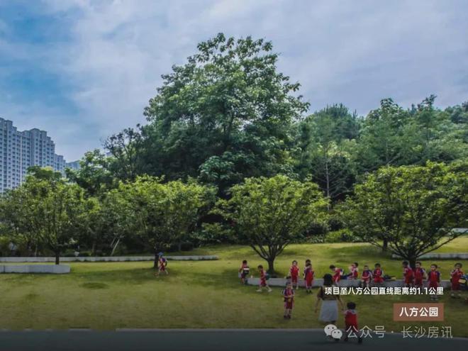 024首页-建发观云最新发布网站-欢迎您qy千亿球友会长沙建发观云(售楼处)2(图1)